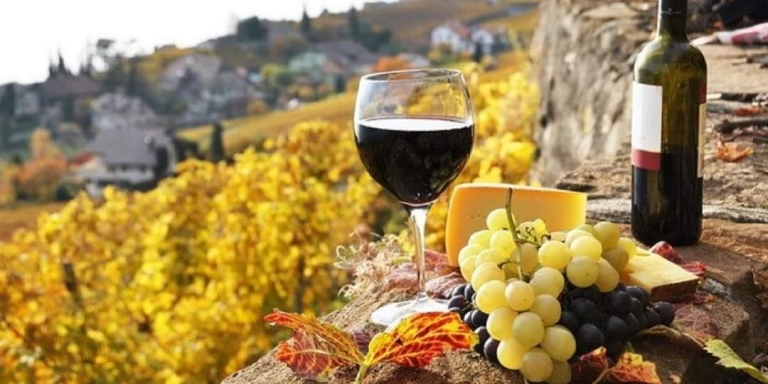 Se pot depune la APIA cereri de solicitare a ajutorului de stat pentru susținerea activității producătorilor din sectorul vitivinicol!