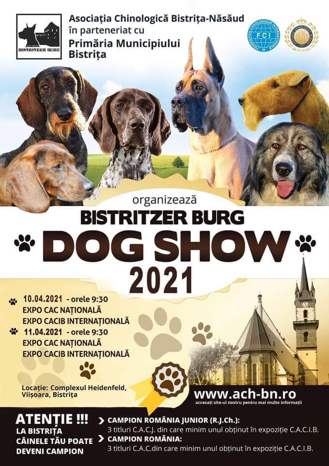 Concurs și expoziție canină în Viișoara la ,,BISTRITZER BURG DOG SHOW 2021”!