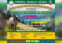 Sărbătoarea fermierilor: expoziție de ovine și caprine pe meleagurile Țării Năsăudului